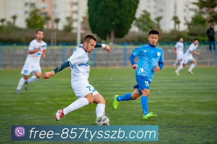 季后赛边缘观察教练调度与球星成色将成最后冲刺决定性因素